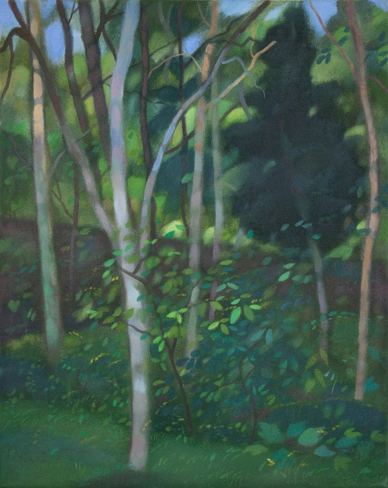 Christine’s Yard #11