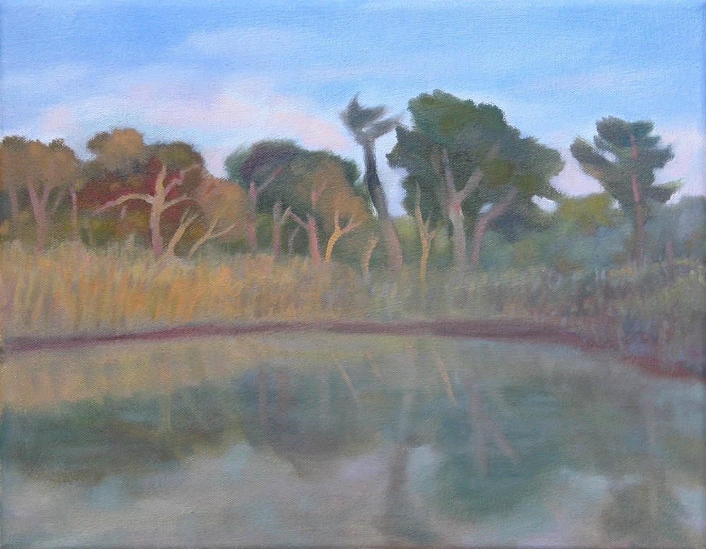 Wetlands At Sundown